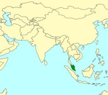 Blastophaga malayana_map