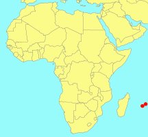 Ficus mauritiana Distribution