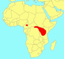 Distribution_of_Ficus_amadiensis