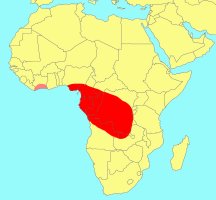 Distribution_of_Ficus_ardisioides_camptoneura