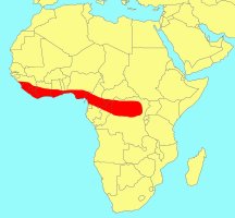 Distribution_of_Ficus_calyptrata