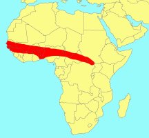 Distribution_of_Ficus_cordata_leucardii