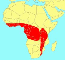 Distribution_of_Ficus_craterostoma