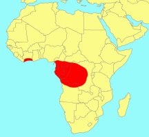 Distribution_of_Ficus_elasticoides