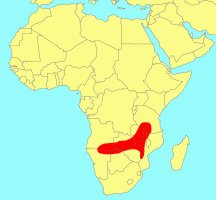 Distribution_of_Ficus_fischeri