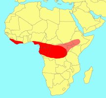 Distribution_of_Ficus_kamerunensis