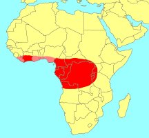 Distribution_of_Ficus_lingua_lingua