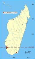 Distribution_of_Ficus_marmorata