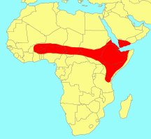 Distribution_of_Ficus_populifolia