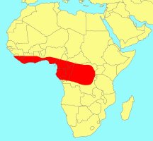 Distribution_of_Ficus_tesselata