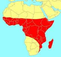 Distribution_of_Ficus_trichopoda