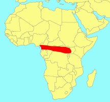 Distribution_of_Ficus_wildemaniana