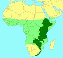 Ceratosolen_capensis_Distribution