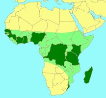 Distribution_of_Allotriozoon_heterandromorphum