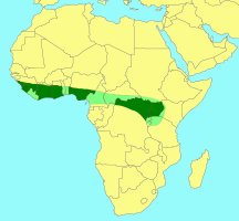 Distribution_of_Allotriozoon_prodigiosum