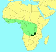 Distribution_of_Crossogaster_inusitata