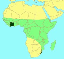 Distribution_of_Crossogaster_robertsoni