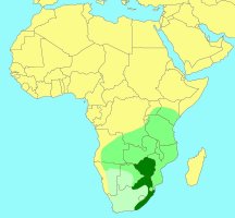 Distribution_of_Omryrus_subconicus