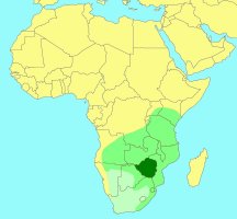 Distribution_of_Omryrus_flavipes