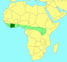 Distribution_of_Philocaenus_cavus