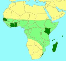 Distribution_of_Philocaenus_silvestrii