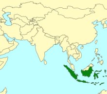 Lipothymus sumatranus_map