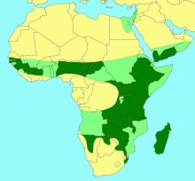 Ceratosolen_arabicus_Distribution