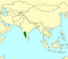 Kradibia rutherfordi indicum_map